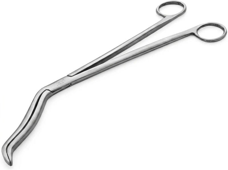 Agarwals cheatle forceps heavy 8inch 20 06 2026 dce34852 - SkyMedIdent
