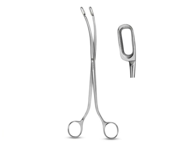 Agarwals desjardine gall stone holding forcep 9inch 23 06 2026 c8812921 - SkyMedIdent