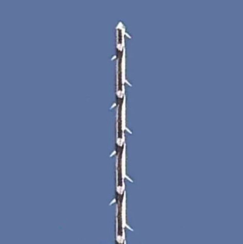 F52e03acad1d4951a short Barbed 1 1 - SkyMedIdent