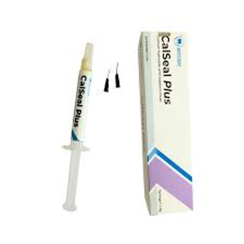 Jaypee dent calseal calcium hydroxide with barium sulphate paste 3g syringe jpcsab 25 02 SfWsIVz 1 - SkyMedIdent