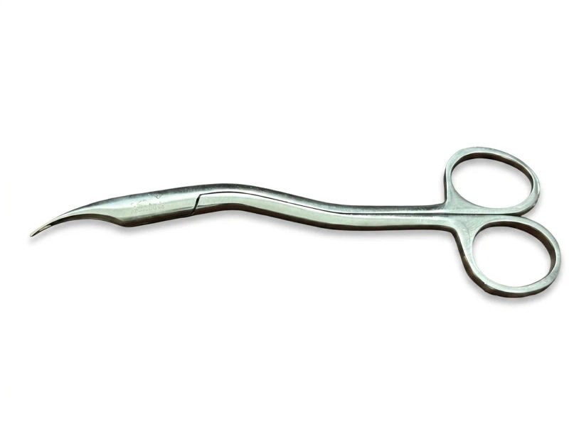 Lifex stitch cutting scissors 6 inch pack of 1 12 06 2026 7809a48f - SkyMedIdent