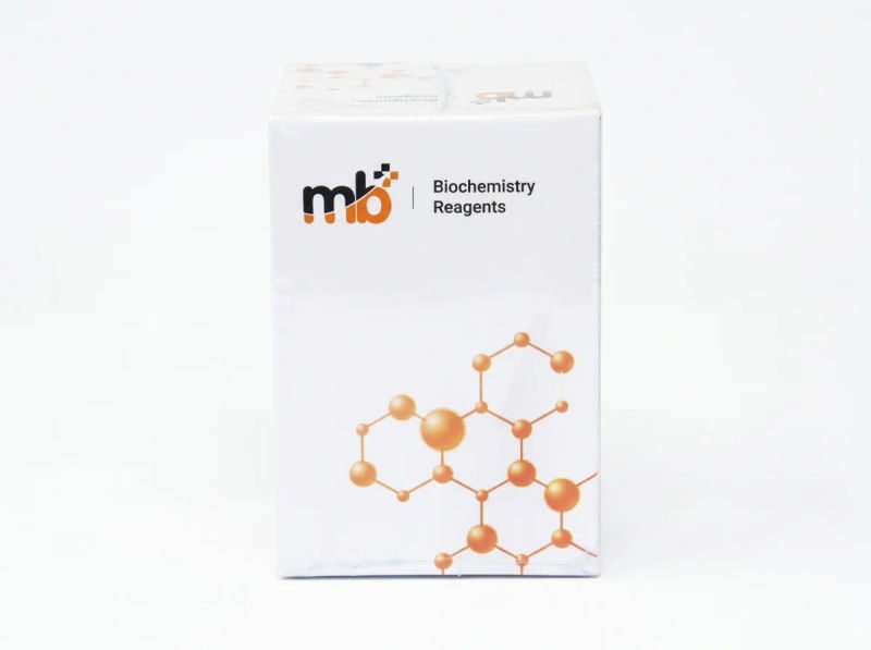 Mb albumin 2x50ml 18 03 2026 6bf0bfa5 - SkyMedIdent