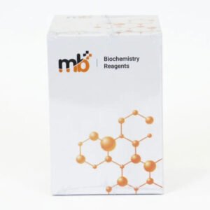 Mb amylase 2x50ml 18 03 2026 e48fedfb - SkyMedIdent