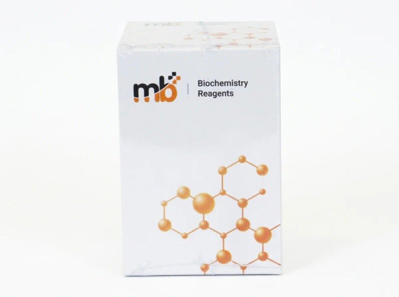 Mb amylase 2x50ml 18 03 2026 e48fedfb - SkyMedIdent