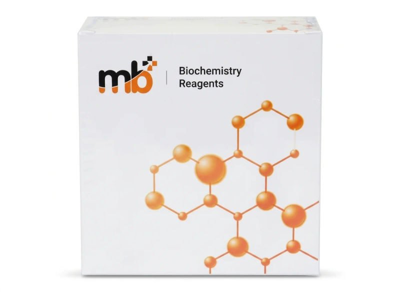 Mb calcium 2x100ml 18 03 2026 d8803d38 - SkyMedIdent
