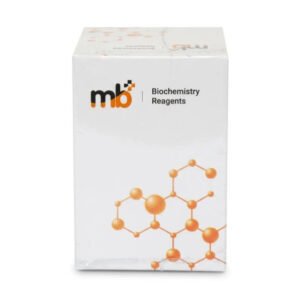 mb+ GGT – R1:2X40ml + R2:2X10ml