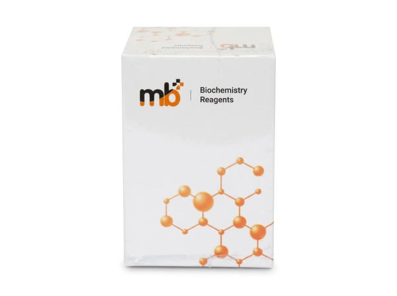 Mb ggt r12x40ml r22x10ml 18 03 2026 6079ffd1 - SkyMedIdent
