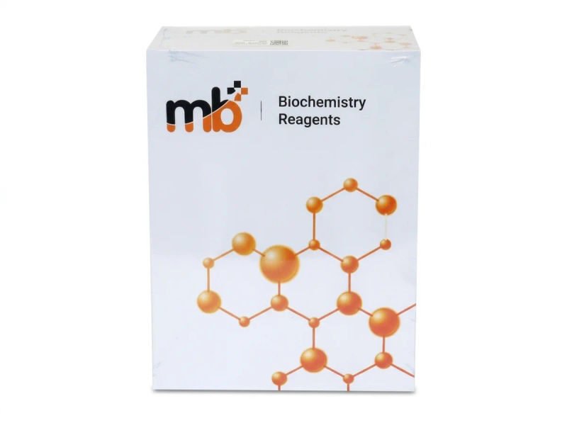 Mb glucose 2x500ml 18 03 2026 4c5b7d64 - SkyMedIdent