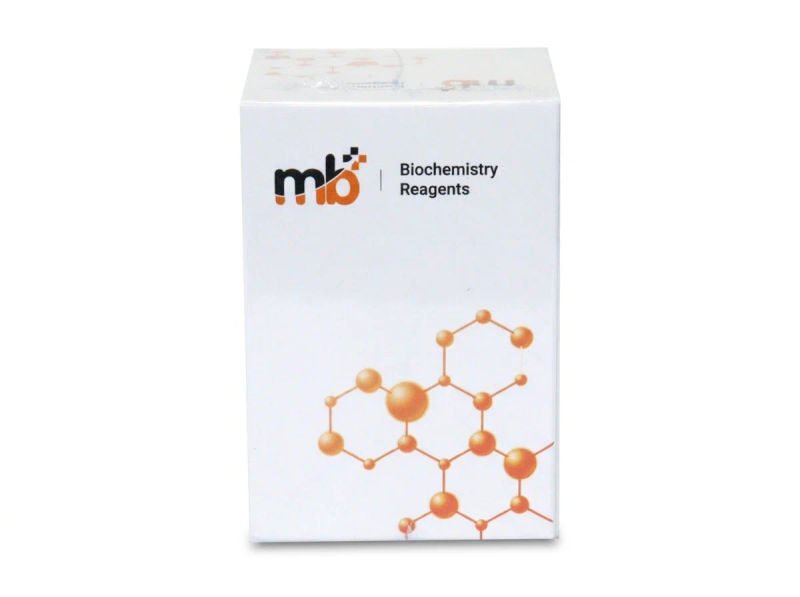 Mb ldh p l r12x40ml r22x10ml 18 03 2026 725f8349 - SkyMedIdent