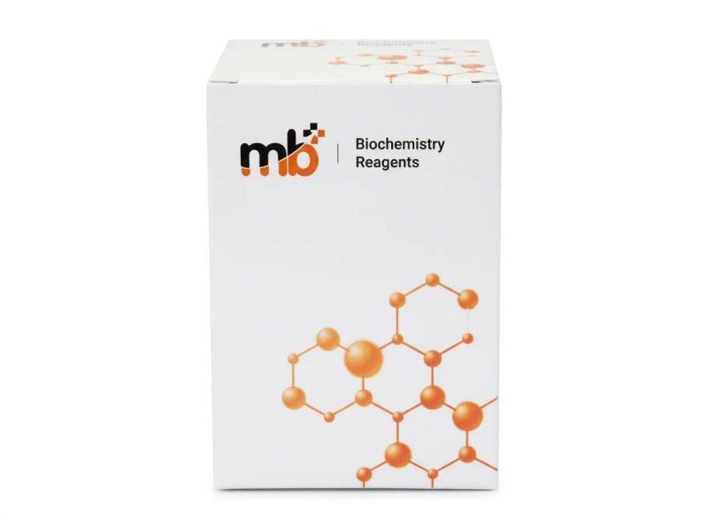Mb magnesium 2x50ml 18 03 2026 1d33adf7 - SkyMedIdent