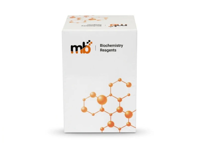 Mb phosphorus 2x50ml 18 03 2026 a199ac1f - SkyMedIdent
