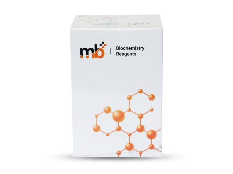 Mb rf r11x40ml r21x10ml 18 03 2026 5d756416 - SkyMedIdent