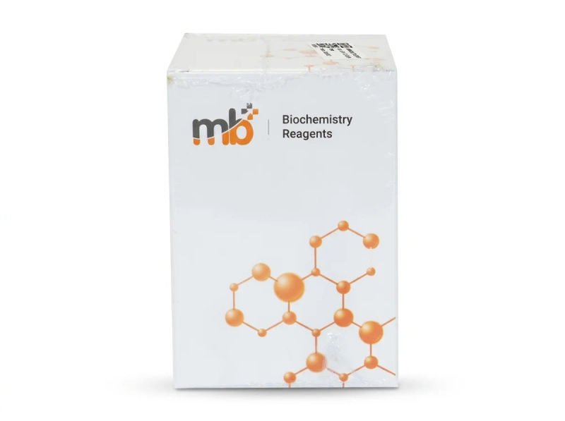 Mb urea r12x40ml r22x10ml 18 03 2026 20f10de9 - SkyMedIdent