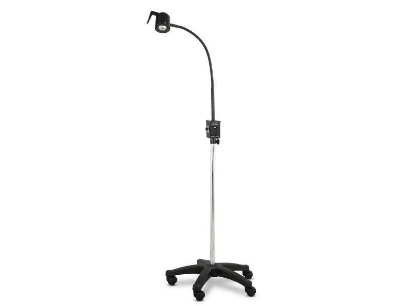 Lifex halogen examination light box of 1 23 03 2026 bfadab26 - SkyMedIdent