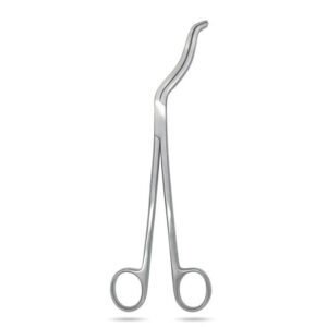 Vaishanav surgicals cheetal forcep 10inch 20 06 2026 4273bb99 - SkyMedIdent