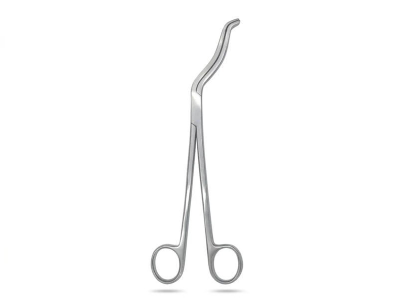 Vaishanav surgicals cheetal forcep 10inch 20 06 2026 4273bb99 - SkyMedIdent