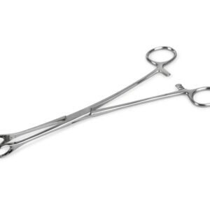 Vaishanav surgicals sponge holding forcep 10inch 20 06 2026 7731b95b - SkyMedIdent