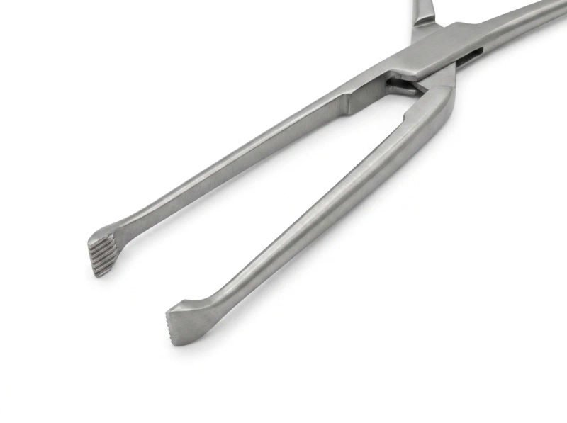 Vaishnav surgicals allice tissue forcep 5inch 04 05 2026 873594ea - SkyMedIdent